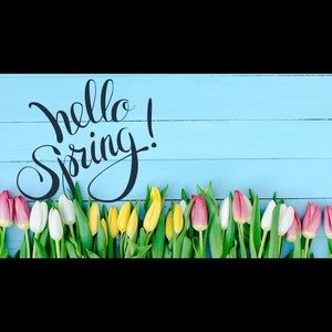 Meet the Posher Gabby